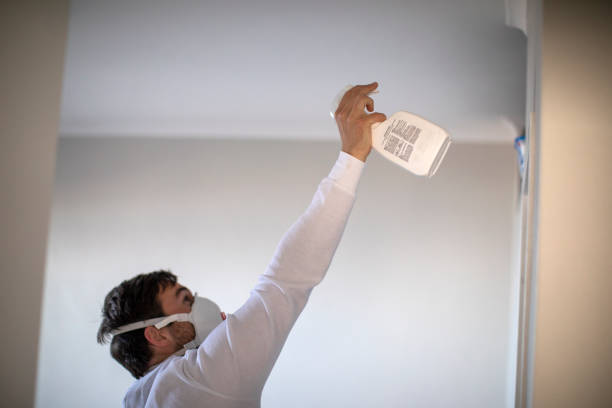 Best Best Mold Removal Companies  in Rocky Point, NC