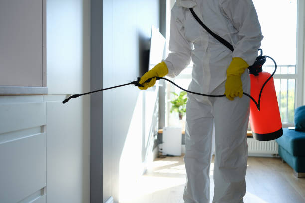 Best Certified Mold Removal  in Rocky Point, NC