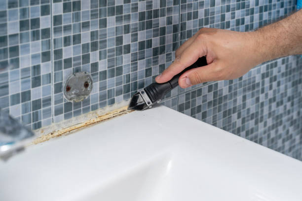 Best Commercial Mold Removal  in Rocky Point, NC