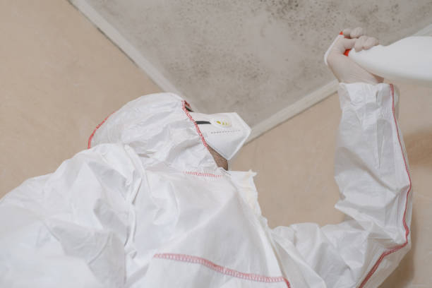 Best Residential Mold Removal  in Rocky Point, NC